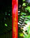 Pink Guava - Hula Hoop Tape