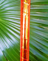 Papaya - Reflective Hula Hoop