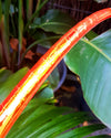 Papaya - Reflective Hula Hoop