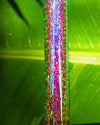 Andromeda Galaxy - Taped Hula Hoop