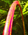 Waratah - Taped Hula Hoop