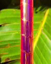 Waratah - Taped Hula Hoop