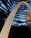 Reflective White Hula Hoop