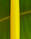 Hula Hoop "Sunshine Yellow" - Coloured HDPE