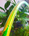 Reflective Daintree hula hoop used for performance